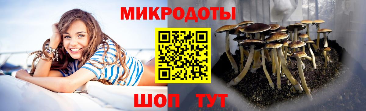 Псилоцибиновые грибы Cubensis  Галлюциногенные грибы GOLDEN TEACHER  Тулун  Вход с VPN 